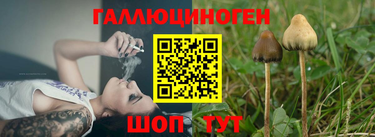 Аша  Псилоцибиновые грибы MAGIC MUSHROOMS  Галлюциногенные грибы Magic Shrooms  Вход с VPN 